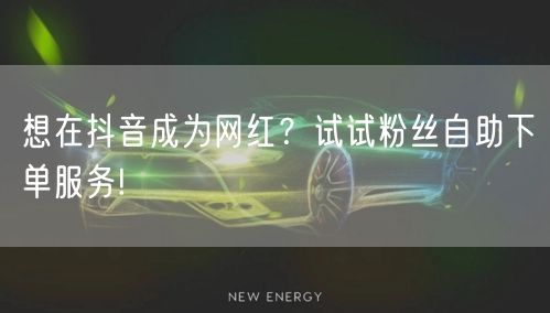 想在抖音成为网红？试试粉丝自助下单服务!