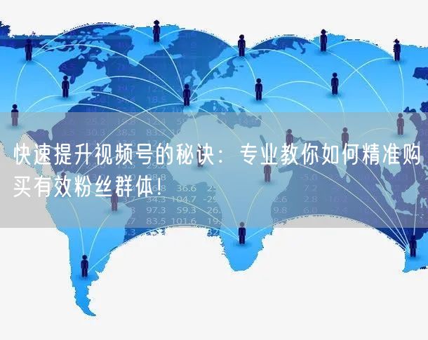 快速提升视频号的秘诀：专业教你如何精准购买有效粉丝群体！