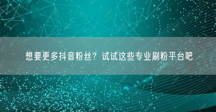 想要更多抖音粉丝？试试这些专业刷粉平台吧
