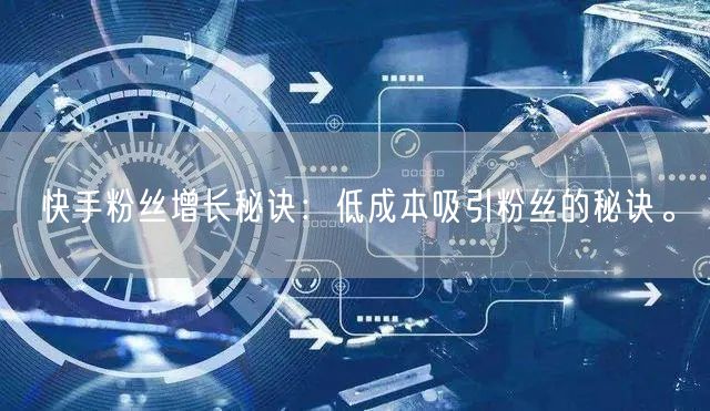快手粉丝增长秘诀：低成本吸引粉丝的秘诀。