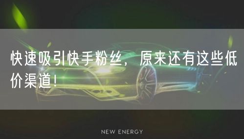快速吸引快手粉丝，原来还有这些低价渠道！