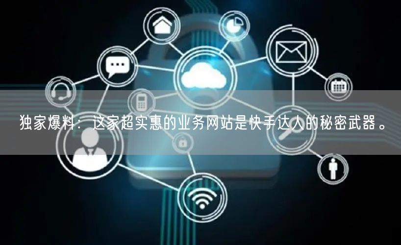独家爆料：这家超实惠的业务网站是快手达人的秘密武器。