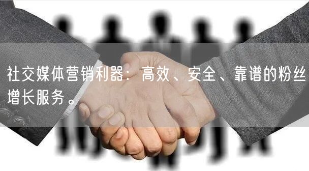 社交媒体营销利器：高效、安全、靠谱的粉丝增长服务。