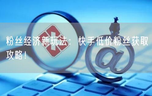粉丝经济新玩法:快手低价粉丝获取攻略!