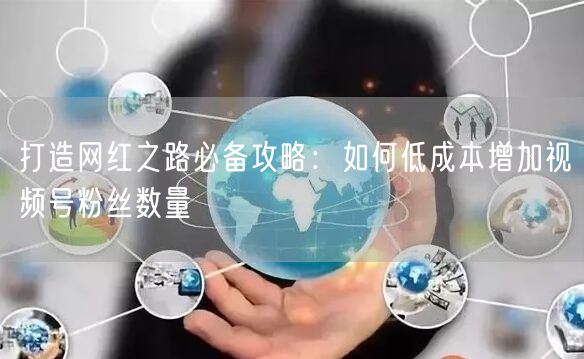 打造网红之路必备攻略：如何低成本增加视频号粉丝数量
