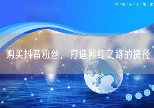 购买抖音粉丝,打造网红之路的捷径