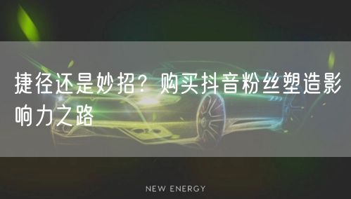 捷径还是妙招？购买抖音粉丝塑造影响力之路