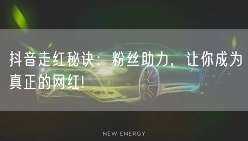 抖音走红秘诀：粉丝助力，让你成为真正的网红!