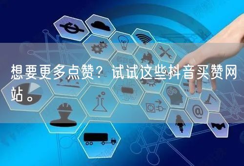 想要更多点赞？试试这些抖音买赞网站。