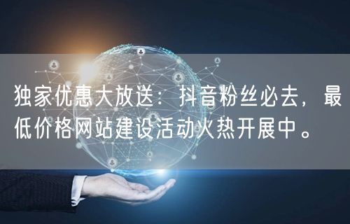 独家优惠大放送：抖音粉丝必去，最低价格网站建设活动火热开展中。